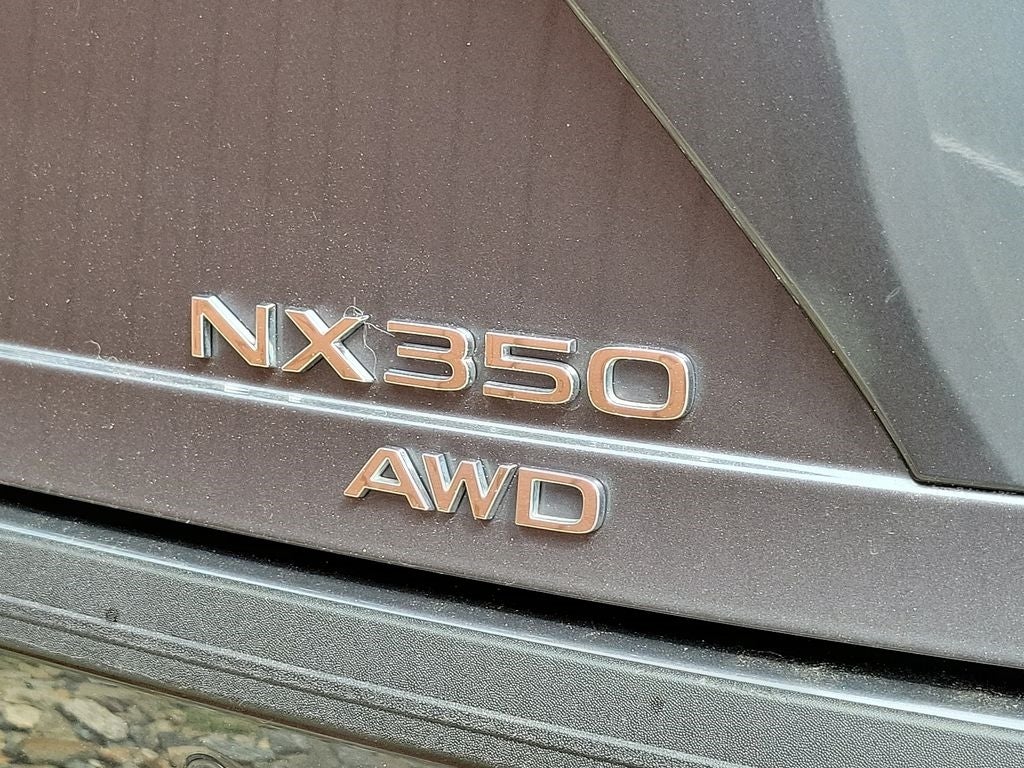 2024 Lexus NX 350 Luxury 350 Luxury COLD AREA PKG,MARK LEVINSON AUDIO,